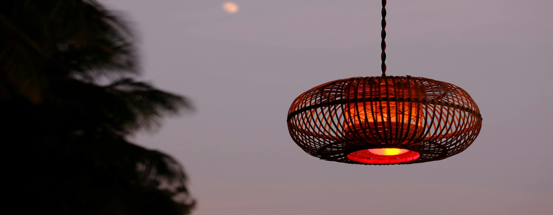 header picture